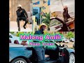 nyan aroyo by santos malong amiir new song