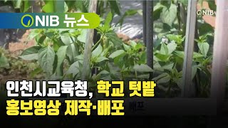 [NIB뉴스] 인천시교육청, 학교 텃밭 홍보영상 제작·배포