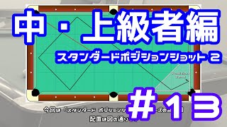 【ビリヤード】ビリヤード練習ドリル ひたすら動画化してみた「ＰＡＴ」中・上級者編 #13【スタンダードポジションショット 2】