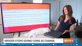 Cat interrupts CBS News Broadcast by attempting to Turn Off Reporter's Computer