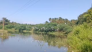 இயற்கை நண்பன் | Nature video | இயற்கை நம்மை பாதுகாக்கும்