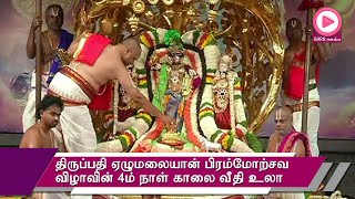 திருப்பதி பிரம்மோற்சவ விழாவின் நான்காம் நாளான இன்று ஏழுமலையான் கல்ப விருட்ச வாகனத்தில் திருவீதி உலா