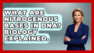 What Are Nitrogenous Bases In DNA? Biology Explained. - The Everyday Why