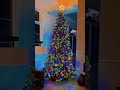 2024 s most epic christmas tree reveal