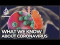 What we know so far about coronavirus