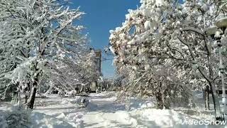 Большой снег в Донецке. Февраль 2020 #Донецксегодня