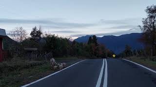 Nuestros paisajes | Camino Los Cajones, Coñaripe