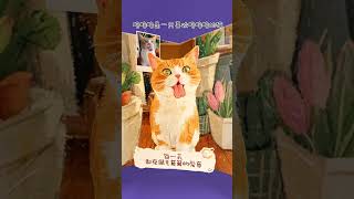 【#喵可酱】每只小猫都是一本治愈的绘本 #成为绘本里的温暖主角 #dou爱公益日