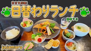 【山口県】下関市/女性にうれしい完全予約制！「jajamaru」で味わう至福のランチタイム