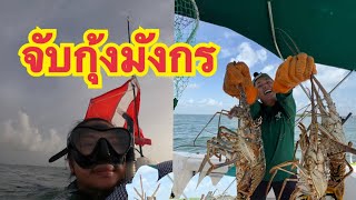 จับกุ้งมังกรวันแรก รอบพรี มี 2 วันเท่านั้น ที่ ฟลอริดา Lobster Mini Season 2022 Day1