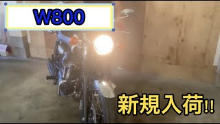 完売御礼！！　カワサキ　Ｗ８００　スペシャルエディション　２０１６年モデル　車両価格９３.５万円　中古車　新規入荷　エンジン始動　紹介動画