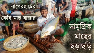 কেবি মাছ বাজারে সামুদ্রিক মাছের ছড়াছড়ি | বাগেরহাট | Explore With Bfine