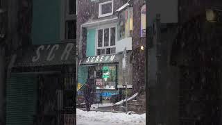 Toronto in Winter: Beautiful and Magical Snowfall in Toronto