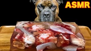 【大食い犬ASMR】超巨大生肉ゼリーに戸惑う愛犬が可愛いすぎるwww 　Dog eats raw meat and bones