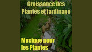 Musique pour les plantes, vol. 1 (Croissance des plantes et jardinage)