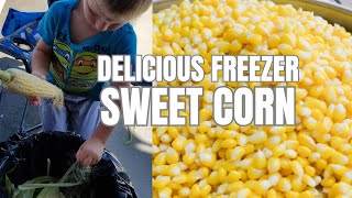 How to Freeze Sweet Corn + Best Recipe