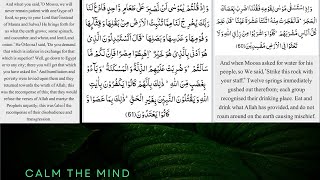 Surah Al Baqarah part 6 English Translation?Why Is 'tilawat e Quran' Used in English Translation?