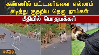 கண்ணில் பட்டவர்களை எல்லாம் கடித்து குதறிய தெரு நாய்கள்.! பீதியில் பொதுமக்கள்