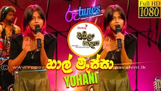 Haal Massa | හාල් මැස්සා | Yohani | Baila Sadaya (බයිලා සාදය) | @RooTunes