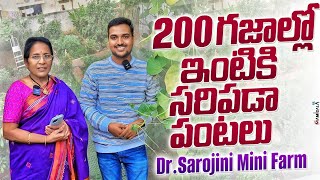 200 గజాల్లో ఇంటికి సరిపడా పంటలు  Dr.Sarojini Mini Farm