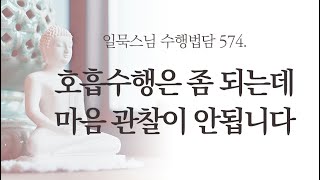 호흡수행은 좀 되는데 마음 관찰이 안됩니다ㅣ일묵스님ㅣ제따와나선원 수행법담 574.