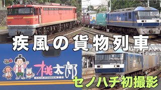 2021年6月22日と23日の貨物列車　今回は広島で撮影した大迫力の貨物列車の高速通過とジョイント音をお楽しみください！疾風の貨物列車　全51本　難所のセノハチを力強く貨物列車は大迫力！