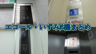 エコール・いずみのエレベーターのエレベーター|6機まとめ