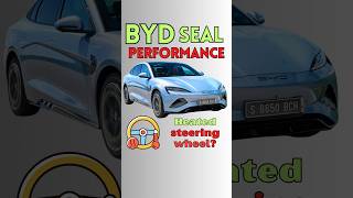 Heated Wheel SHOCK! BYD Seal Secret? (Performance vs Premium) ❄️