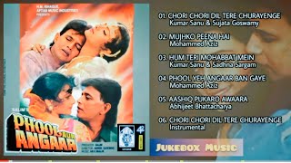 Phool aur angaar movies all song 1993 | chori chori dil tera| audio JukeBox