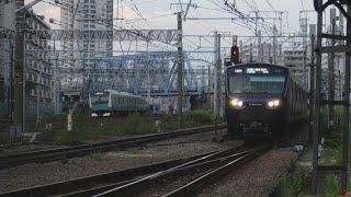 横須賀線普通逗子行きE217系1561SY-129+E217系Y-32とEF210-133、埼京線各駅停車海老名行き12000系12006 137Mが走行♪【花月園前踏切No.19、警笛と犬の鳴き声】