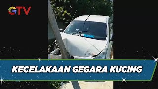 Bukan Karena Saling Tembak, Terungkap Kecelakaan Mobil di Sampang Gara-gara Kucing