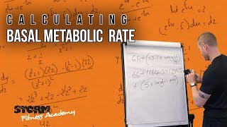 Calculating Basal Metabolic Rate [BMR]