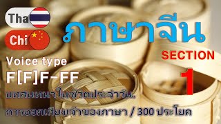 ภาษาจีน [Section 1] Type F[F]F-FF / บทสนทนาในชีวิตประจำวัน / สั้นและง่าย 300 ประโยค.