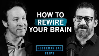 How to Rewire Your Brain at Any Age | Dr. David Eagleman & Dr. Andrew Huberman