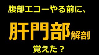 腹部エコー　肝門部の構造と胆管描出法　2022