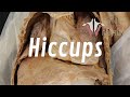 What Are Hiccups, and Why Do We Get Them??