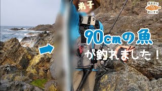 能登の磯で90cmの魚が釣れました