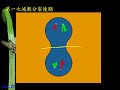 10701高二基礎生物ch4 1 14減數分裂的動畫呈現二毅