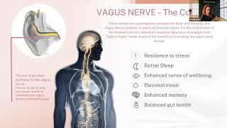 Unlocking Metabolic Harmony starting with the Vagal Nerve