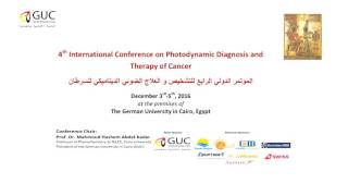 4th International Conference on Photo dynamic Diagnosis and Therapy of Cancer