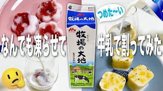 【検証】なんでも凍らせて牛乳で溶かしたらどれが最強なの選手権！