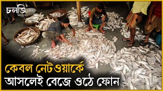 ভোর থেকে রাত পর্যন্ত  বরফের চেম্বারে থাকতে হয় | Fishermen's | চলতি