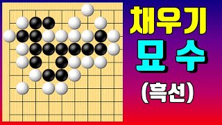 공배를 채우는 환상적인 묘수! [딱한수 #494]