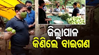 Ganjam Collector Stops Midway To Buy Vegetables From Roadside Vendor