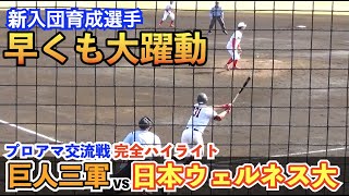 巨人選手層が厚すぎる！未来のWBC侍ジャパン選手候補はいるか⁉︎1軍キャンプに参加した鈴木大和選手も大活躍！支配下登録へ猛アピール！プロアマ交流戦 巨人vs日本ウェルネススポーツ大