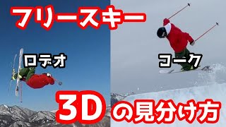 コーク720とロデオ540から見る３Dトリックの見分け方【諸説あり】【フリースキー】