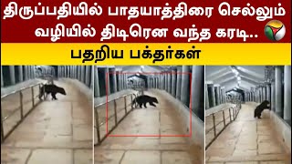 திருப்பதியில் பாதயாத்திரை செல்லும் வழியில் திடிரென வந்த கரடி.. பதறிய பக்தர்கள் | Tirupati | Bear|PTT