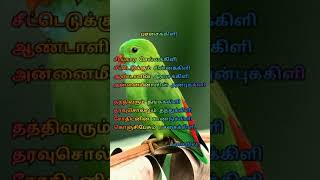 #shorts |patchaikili(பச்சைக்கிளி)- kavithai|tamil kavithaigal|kalainilaaavin kavi Ula|