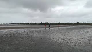 Bichitrapur Mangrove Sanctuary Odisha | New Place Near Digha Sea Beach