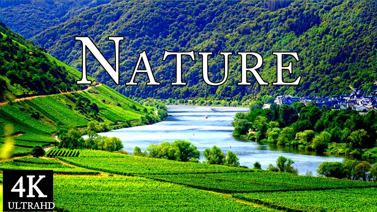 Stunning Nature Video With Piano Relax Nature Sounds 4k Video 4k